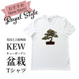 Kew 英国王立植物園 キューガーデン 盆栽 BONSAI イラスト Tシャツ 丈長 71cm Sサイズ